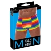 Mens Boxer Briefs Rainbow 2XL
