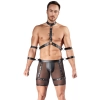 Mens Harness and Pants L