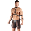 Mens Harness and Pants XL