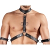 Mens Harness and Pants XL