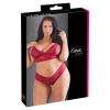 Bra and Red Briefs 4XL