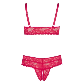 Bra and Red Briefs 4XL