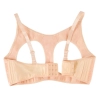 Breasts with Bra