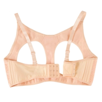 Breasts with Bra