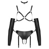 Bad Kitty Set M
