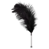Feather black acrylic