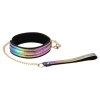 LS Vivid Rainbow