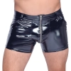 Vinyl M. Pants RV L