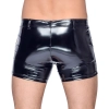 Vinyl M. Pants RV L