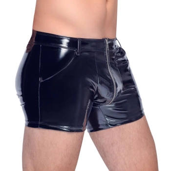 Vinyl M. Pants RV L