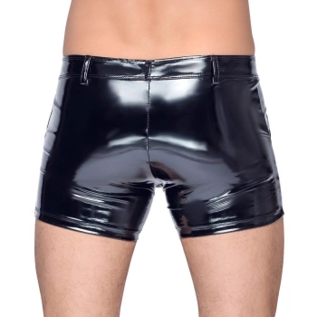Vinyl M. Pants RV L
