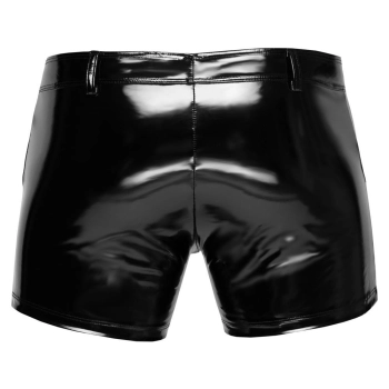 Vinyl M. Pants RV L