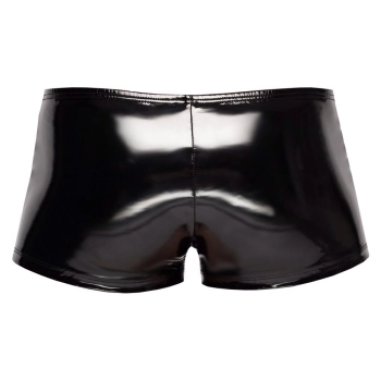 Vinyl M. Pants Biker S
