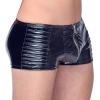 Vinyl M. Pants Biker M