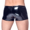 Vinyl M. Pants Biker M