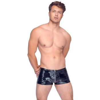 Vinyl M. Pants Biker L