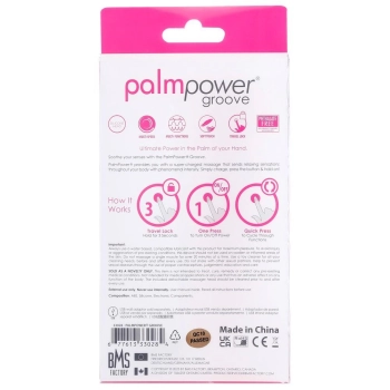 PalmPower Groove Mini Wand Fuc