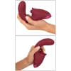 Javida 3 Function Thrusting