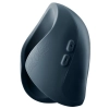 Pulse Duo 2025