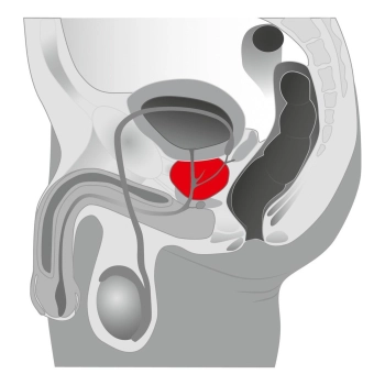Masażer prostaty silikonowy JoyDivision czarny 2,5 cm
