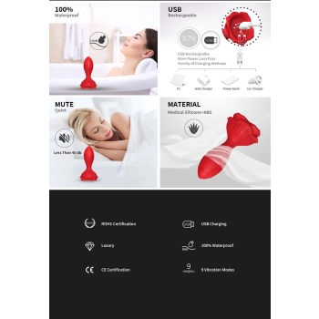 Plug analny wibrujący Rosenberg czerwony 9 funkcji USB 10 cm
