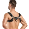 Uprząż bondage Bedroom Fantasies Bruno regulowana czarna