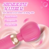 Little Fairy Wand Pink