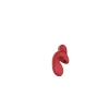Suking G Spot Vibrator Red