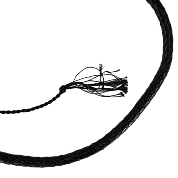 Bicz Prowler RED Turkish Knot Whip 6ft
