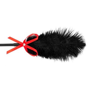 Fetish B-Series Tickler & Whip 2.0