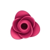 Stymulator łechtaczki z falą ciśnienia Satisfyer Pro 2 Modern Rose