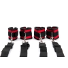 Black And Red Wrist And Ankle Bed