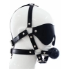 Eye Mask With Ball Gag
