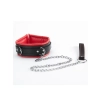 Red Collar And Leash