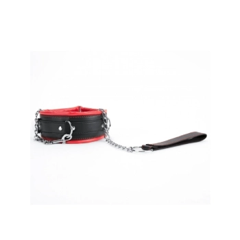 Red Collar And Leash