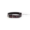 Hearts Collar And Leash