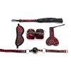 5 Pieces Leopard Bondage Set