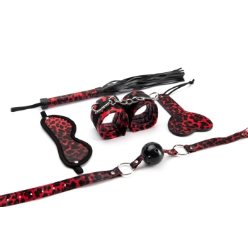 5 Pieces Leopard Bondage Set