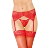 Koronkowy pas do pończoch z stringami Softline 3317 czerwony M/L