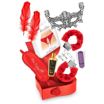 Zestaw Walentynkowy Pleasure Box Concorde z BDSM i wibratorem