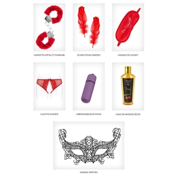 Zestaw Walentynkowy Pleasure Box Concorde z BDSM i wibratorem