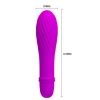 Wibrator Pretty Love Solomon 10 funkcji wibracji