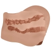 MILA, Double-entry masturbators realistic vagina or anus