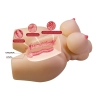 Masturbator waginalno analny Crazy Bull Grace TPR 37 5 cm