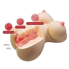 Masturbator waginalny i analny Crazy Bull Fiona 37,5 cm TPR