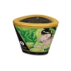 Świeca/krem-SHUNGA CANDLE GREEN TEA 170 ML