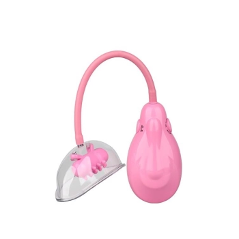 DREAM TOYS VIBRATING VAGINA PUMP