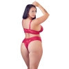 Bra and Red Briefs 2XL