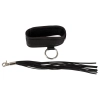 Bad Kitty Collar and Flogger