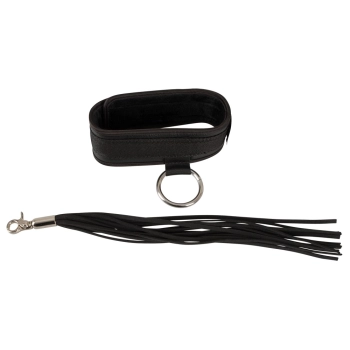 Bad Kitty Collar and Flogger